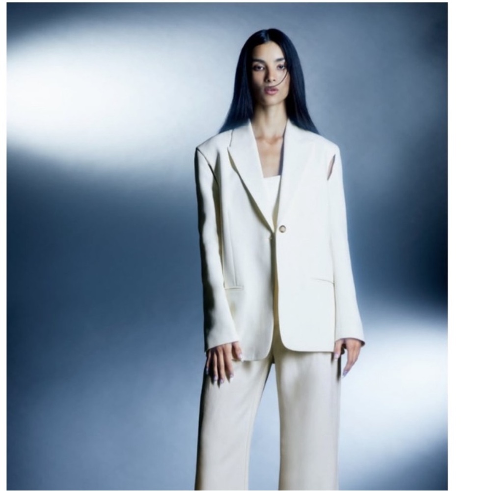 ZARA Peak Collar  Oversized Blazer